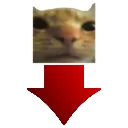 downvote_cat