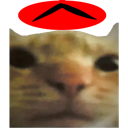 thiscat