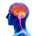 neuro