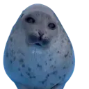sealegg