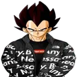 DripVegeta