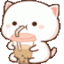 catsipping