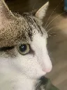 sideeye