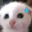 05_gulp