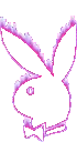 PLAYBOY