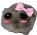 shy_hamster
