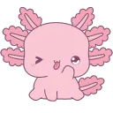 PinkAxolotl4