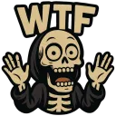 wtf