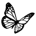 blackfly_Chad