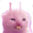 dolyblGlorpette