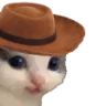 Cat_meowdy