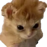 Grompy