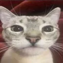 emoji_19