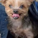 Yes