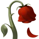 FallendeRose