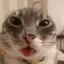 yah