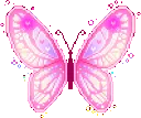 starwinx