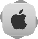 6985naapple