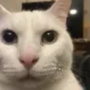 ctstaring