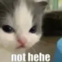nothehehe