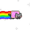 cat_raibow