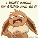 stupidandgay