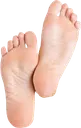 feet