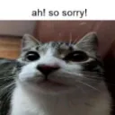 ahh_imsorry