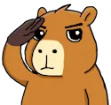 CapySalute