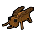 Roach