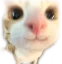 33 33