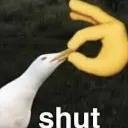shut shut