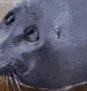 itsover