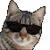 catEpic