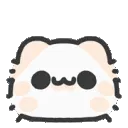 cat_shocked