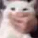 Shh