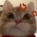 angy