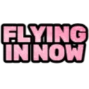 flyingin_IDS