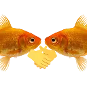fishshake