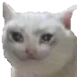 yes