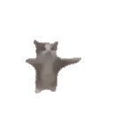 outputonlinegiftools