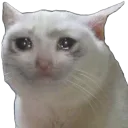 sad