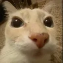 ey