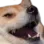 1170551673115136060