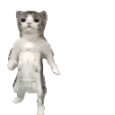 catGroove