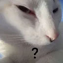tuqe