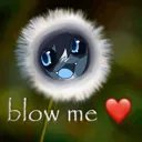 blowme