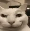 eatingcat
