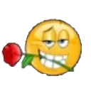 rizz