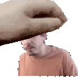 pet